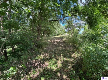 Russell Landing Road, Brandenburg, Kentucky 40108, ,For Sale,Russell Landing Road,HK24002953 Russell Landing Road, Brandenburg, Kentucky 40108, ,For Sale,Russell Landing Road,HK24002953