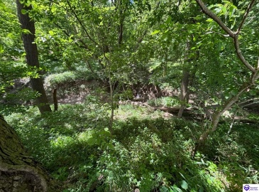 Russell Landing Road, Brandenburg, Kentucky 40108, ,For Sale,Russell Landing Road,HK24002953 Russell Landing Road, Brandenburg, Kentucky 40108, ,For Sale,Russell Landing Road,HK24002953