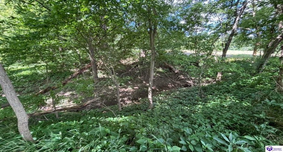 Russell Landing Road, Brandenburg, Kentucky 40108, ,For Sale,Russell Landing Road,HK24002953