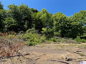 Russell Landing Road, Brandenburg, Kentucky 40108, ,For Sale,Russell Landing Road,HK24002953 Russell Landing Road, Brandenburg, Kentucky 40108, ,For Sale,Russell Landing Road,HK24002953