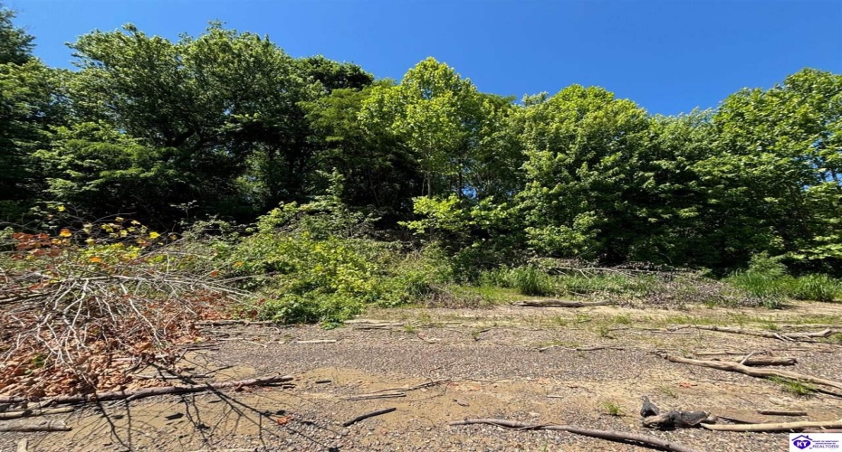 Russell Landing Road, Brandenburg, Kentucky 40108, ,For Sale,Russell Landing Road,HK24002953