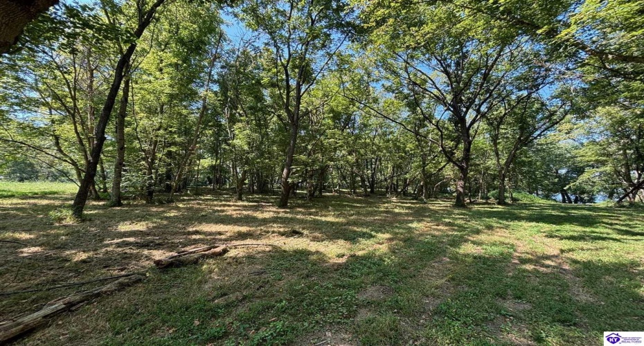 Russell Landing Road, Brandenburg, Kentucky 40108, ,For Sale,Russell Landing Road,HK24002953