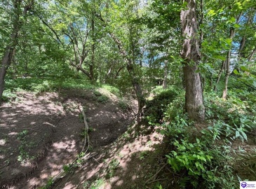 Russell Landing Road, Brandenburg, Kentucky 40108, ,For Sale,Russell Landing Road,HK24002953 Russell Landing Road, Brandenburg, Kentucky 40108, ,For Sale,Russell Landing Road,HK24002953