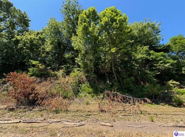 Russell Landing Road, Brandenburg, Kentucky 40108, ,For Sale,Russell Landing Road,HK24002953 Russell Landing Road, Brandenburg, Kentucky 40108, ,For Sale,Russell Landing Road,HK24002953