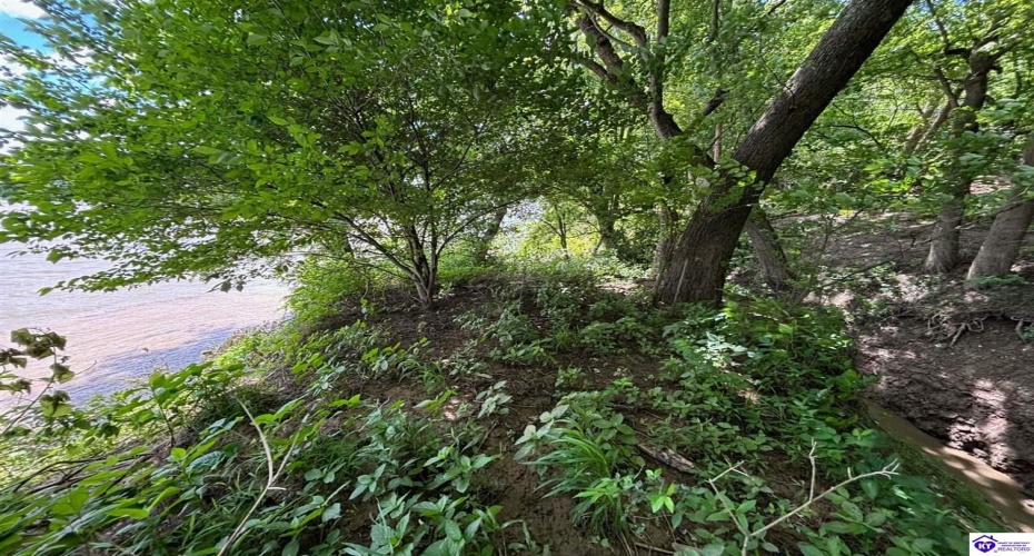 Russell Landing Road, Brandenburg, Kentucky 40108, ,For Sale,Russell Landing Road,HK24002953