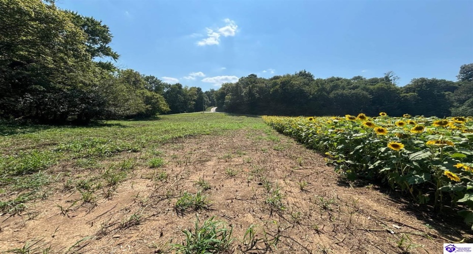 Russell Landing Road, Brandenburg, Kentucky 40108, ,For Sale,Russell Landing Road,HK24002953