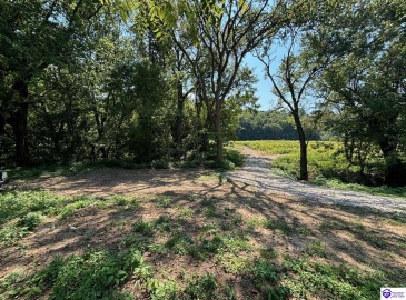 Russell Landing Road, Brandenburg, Kentucky 40108, ,For Sale,Russell Landing Road,HK24002953 Russell Landing Road, Brandenburg, Kentucky 40108, ,For Sale,Russell Landing Road,HK24002953