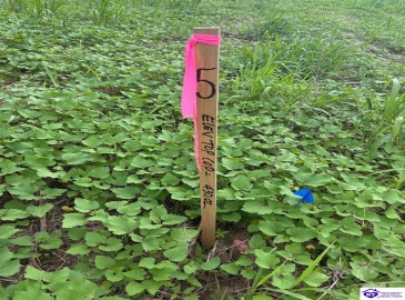 Russell Landing Road, Brandenburg, Kentucky 40108, ,For Sale,Russell Landing Road,HK24002953 Russell Landing Road, Brandenburg, Kentucky 40108, ,For Sale,Russell Landing Road,HK24002953