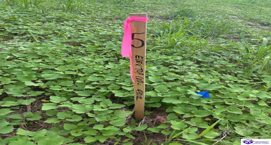 Russell Landing Road, Brandenburg, Kentucky 40108, ,For Sale,Russell Landing Road,HK24002953