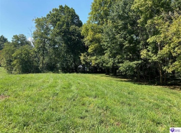 Russell Landing Road, Brandenburg, Kentucky 40108, ,For Sale,Russell Landing Road,HK24002954 Russell Landing Road, Brandenburg, Kentucky 40108, ,For Sale,Russell Landing Road,HK24002954