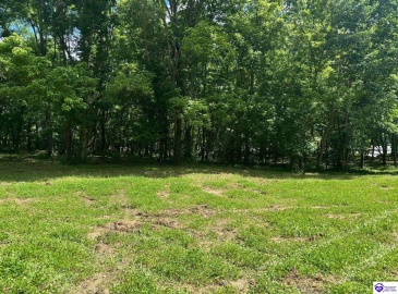 Russell Landing Road, Brandenburg, Kentucky 40108, ,For Sale,Russell Landing Road,HK24002954 Russell Landing Road, Brandenburg, Kentucky 40108, ,For Sale,Russell Landing Road,HK24002954