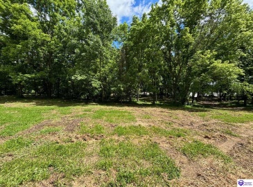 Russell Landing Road, Brandenburg, Kentucky 40108, ,For Sale,Russell Landing Road,HK24002954 Russell Landing Road, Brandenburg, Kentucky 40108, ,For Sale,Russell Landing Road,HK24002954