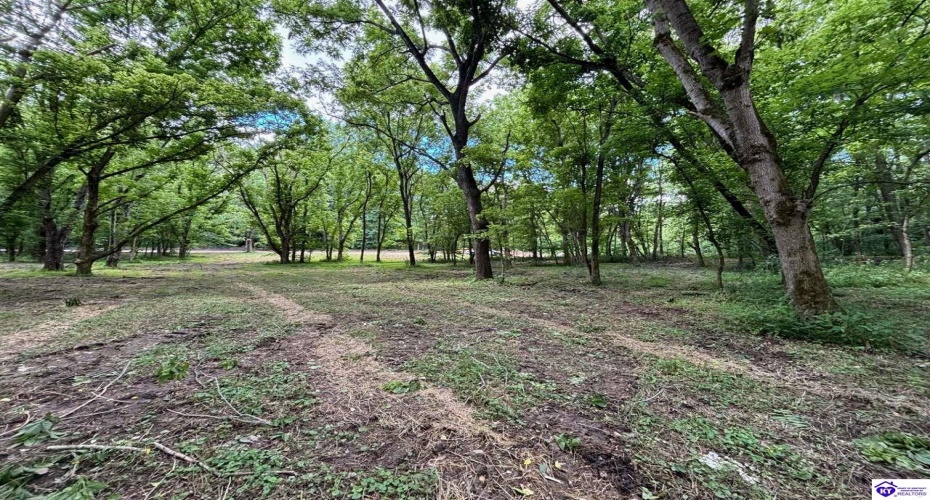 Russell Landing Road, Brandenburg, Kentucky 40108, ,For Sale,Russell Landing Road,HK24002954