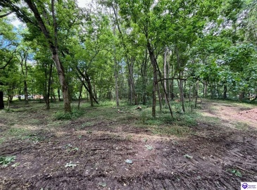 Russell Landing Road, Brandenburg, Kentucky 40108, ,For Sale,Russell Landing Road,HK24002954 Russell Landing Road, Brandenburg, Kentucky 40108, ,For Sale,Russell Landing Road,HK24002954