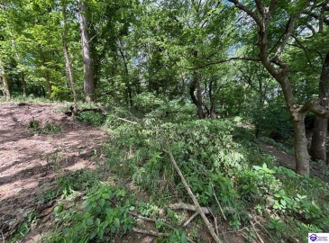 Russell Landing Road, Brandenburg, Kentucky 40108, ,For Sale,Russell Landing Road,HK24002954 Russell Landing Road, Brandenburg, Kentucky 40108, ,For Sale,Russell Landing Road,HK24002954