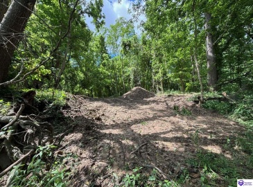 Russell Landing Road, Brandenburg, Kentucky 40108, ,For Sale,Russell Landing Road,HK24002954 Russell Landing Road, Brandenburg, Kentucky 40108, ,For Sale,Russell Landing Road,HK24002954