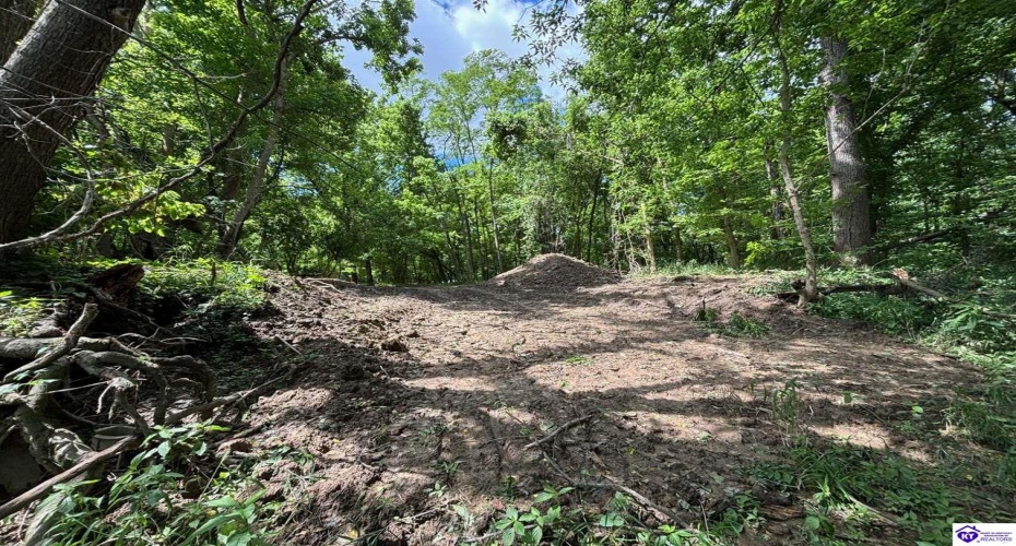 Russell Landing Road, Brandenburg, Kentucky 40108, ,For Sale,Russell Landing Road,HK24002954