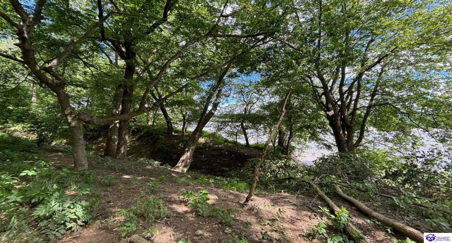 Russell Landing Road, Brandenburg, Kentucky 40108, ,For Sale,Russell Landing Road,HK24002954