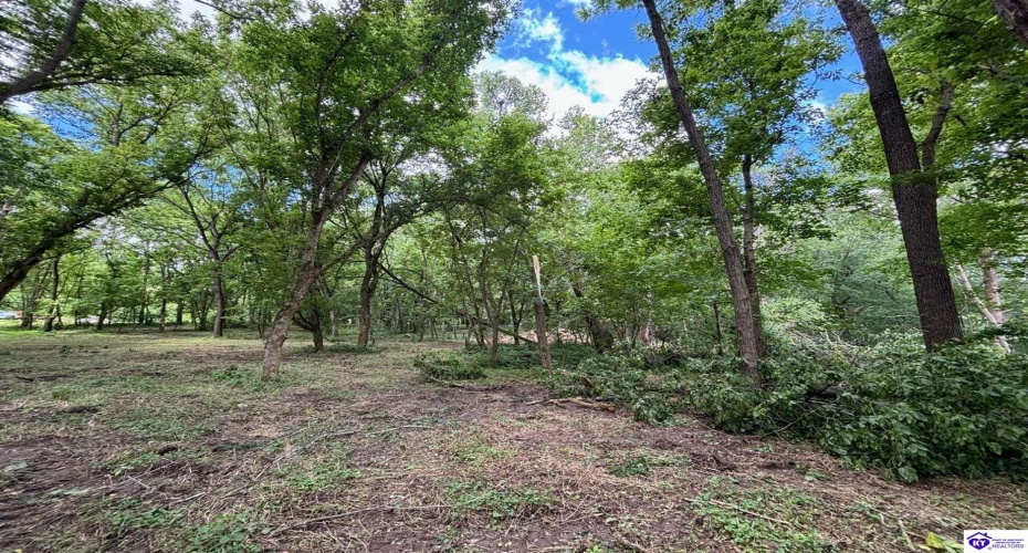 Russell Landing Road, Brandenburg, Kentucky 40108, ,For Sale,Russell Landing Road,HK24002954