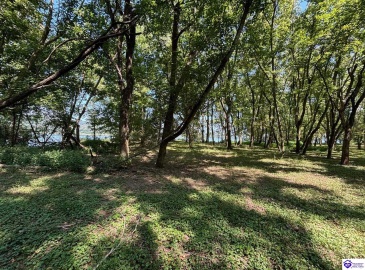 Russell Landing Road, Brandenburg, Kentucky 40108, ,For Sale,Russell Landing Road,HK24002954 Russell Landing Road, Brandenburg, Kentucky 40108, ,For Sale,Russell Landing Road,HK24002954