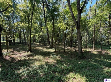 Russell Landing Road, Brandenburg, Kentucky 40108, ,For Sale,Russell Landing Road,HK24002954 Russell Landing Road, Brandenburg, Kentucky 40108, ,For Sale,Russell Landing Road,HK24002954