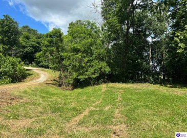 Russell Landing Road, Brandenburg, Kentucky 40108, ,For Sale,Russell Landing Road,HK24002954 Russell Landing Road, Brandenburg, Kentucky 40108, ,For Sale,Russell Landing Road,HK24002954