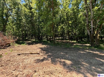 Russell Landing Road, Brandenburg, Kentucky 40108, ,For Sale,Russell Landing Road,HK24002956 Russell Landing Road, Brandenburg, Kentucky 40108, ,For Sale,Russell Landing Road,HK24002956