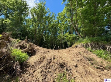 Russell Landing Road, Brandenburg, Kentucky 40108, ,For Sale,Russell Landing Road,HK24002956 Russell Landing Road, Brandenburg, Kentucky 40108, ,For Sale,Russell Landing Road,HK24002956