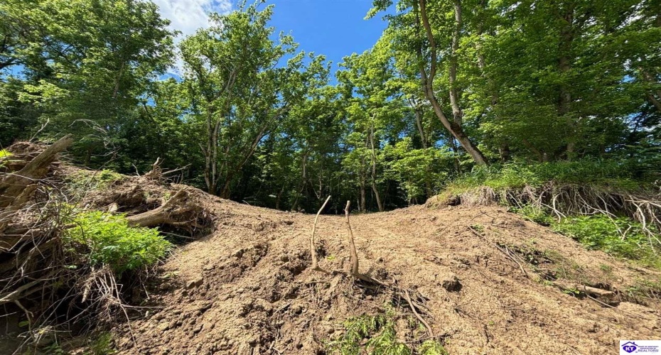 Russell Landing Road, Brandenburg, Kentucky 40108, ,For Sale,Russell Landing Road,HK24002956 Russell Landing Road, Brandenburg, Kentucky 40108, ,For Sale,Russell Landing Road,HK24002956