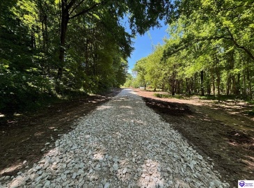 Russell Landing Road, Brandenburg, Kentucky 40108, ,For Sale,Russell Landing Road,HK24002956 Russell Landing Road, Brandenburg, Kentucky 40108, ,For Sale,Russell Landing Road,HK24002956