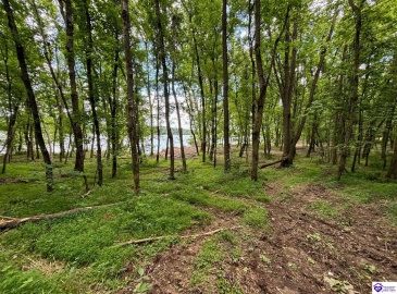 Russell Landing Road, Brandenburg, Kentucky 40108, ,For Sale,Russell Landing Road,HK24002956 Russell Landing Road, Brandenburg, Kentucky 40108, ,For Sale,Russell Landing Road,HK24002956