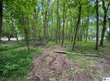 Russell Landing Road, Brandenburg, Kentucky 40108, ,For Sale,Russell Landing Road,HK24002956 Russell Landing Road, Brandenburg, Kentucky 40108, ,For Sale,Russell Landing Road,HK24002956