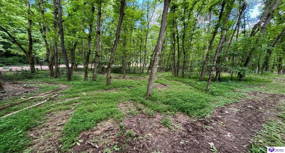 Russell Landing Road, Brandenburg, Kentucky 40108, ,For Sale,Russell Landing Road,HK24002956 Russell Landing Road, Brandenburg, Kentucky 40108, ,For Sale,Russell Landing Road,HK24002956