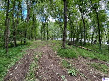 Russell Landing Road, Brandenburg, Kentucky 40108, ,For Sale,Russell Landing Road,HK24002956 Russell Landing Road, Brandenburg, Kentucky 40108, ,For Sale,Russell Landing Road,HK24002956