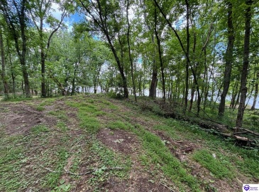 Russell Landing Road, Brandenburg, Kentucky 40108, ,For Sale,Russell Landing Road,HK24002956 Russell Landing Road, Brandenburg, Kentucky 40108, ,For Sale,Russell Landing Road,HK24002956