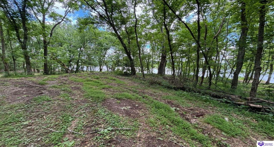 Russell Landing Road, Brandenburg, Kentucky 40108, ,For Sale,Russell Landing Road,HK24002956 Russell Landing Road, Brandenburg, Kentucky 40108, ,For Sale,Russell Landing Road,HK24002956