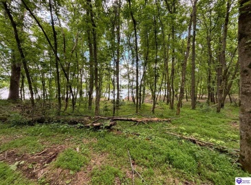 Russell Landing Road, Brandenburg, Kentucky 40108, ,For Sale,Russell Landing Road,HK24002956 Russell Landing Road, Brandenburg, Kentucky 40108, ,For Sale,Russell Landing Road,HK24002956