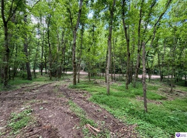 Russell Landing Road, Brandenburg, Kentucky 40108, ,For Sale,Russell Landing Road,HK24002956 Russell Landing Road, Brandenburg, Kentucky 40108, ,For Sale,Russell Landing Road,HK24002956