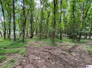 Russell Landing Road, Brandenburg, Kentucky 40108, ,For Sale,Russell Landing Road,HK24002956 Russell Landing Road, Brandenburg, Kentucky 40108, ,For Sale,Russell Landing Road,HK24002956