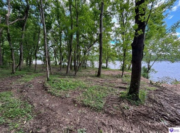 Russell Landing Road, Brandenburg, Kentucky 40108, ,For Sale,Russell Landing Road,HK24002956 Russell Landing Road, Brandenburg, Kentucky 40108, ,For Sale,Russell Landing Road,HK24002956