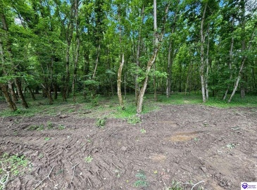 Russell Landing Road, Brandenburg, Kentucky 40108, ,For Sale,Russell Landing Road,HK24002956 Russell Landing Road, Brandenburg, Kentucky 40108, ,For Sale,Russell Landing Road,HK24002956