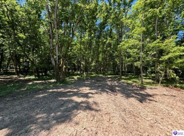 Russell Landing Road, Brandenburg, Kentucky 40108, ,For Sale,Russell Landing Road,HK24002956 Russell Landing Road, Brandenburg, Kentucky 40108, ,For Sale,Russell Landing Road,HK24002956