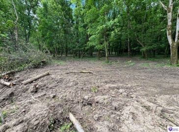 Russell Landing Road, Brandenburg, Kentucky 40108, ,For Sale,Russell Landing Road,HK24002956 Russell Landing Road, Brandenburg, Kentucky 40108, ,For Sale,Russell Landing Road,HK24002956