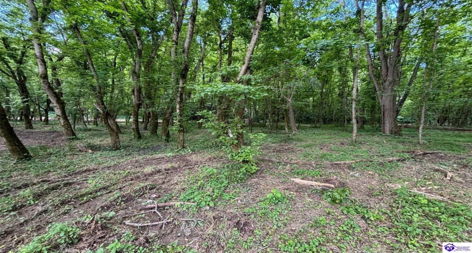 Russell Landing Road, Brandenburg, Kentucky 40108, ,For Sale,Russell Landing Road,HK24002956 Russell Landing Road, Brandenburg, Kentucky 40108, ,For Sale,Russell Landing Road,HK24002956