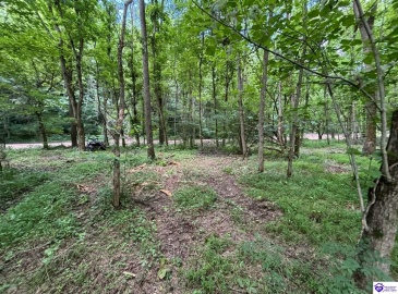 Russell Landing Road, Brandenburg, Kentucky 40108, ,For Sale,Russell Landing Road,HK24002956 Russell Landing Road, Brandenburg, Kentucky 40108, ,For Sale,Russell Landing Road,HK24002956