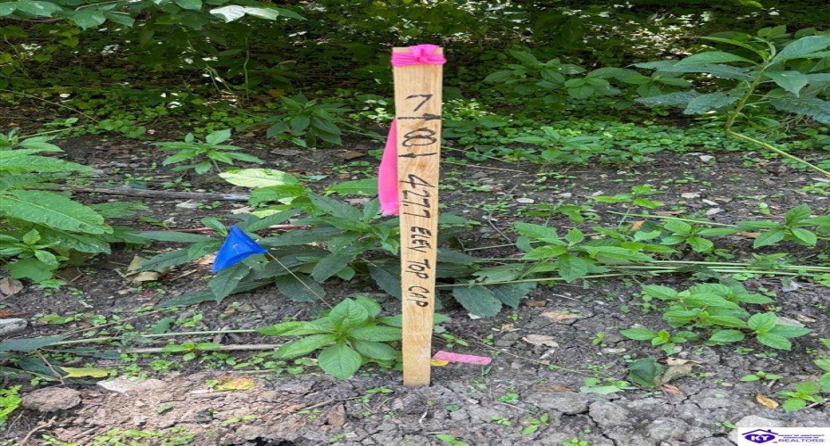 Russell Landing Road, Brandenburg, Kentucky 40108, ,For Sale,Russell Landing Road,HK24002956 Russell Landing Road, Brandenburg, Kentucky 40108, ,For Sale,Russell Landing Road,HK24002956