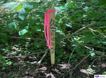 Russell Landing Road, Brandenburg, Kentucky 40108, ,For Sale,Russell Landing Road,HK24002956 Russell Landing Road, Brandenburg, Kentucky 40108, ,For Sale,Russell Landing Road,HK24002956