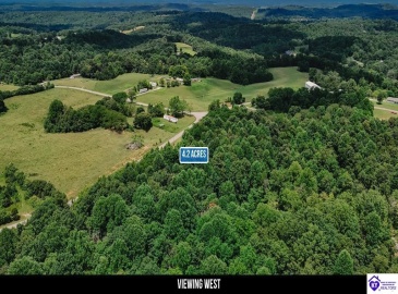 Plainview Road, Eastview, Kentucky 42732, ,For Sale,Plainview Road,HK24003302 Plainview Road, Eastview, Kentucky 42732, ,For Sale,Plainview Road,HK24003302