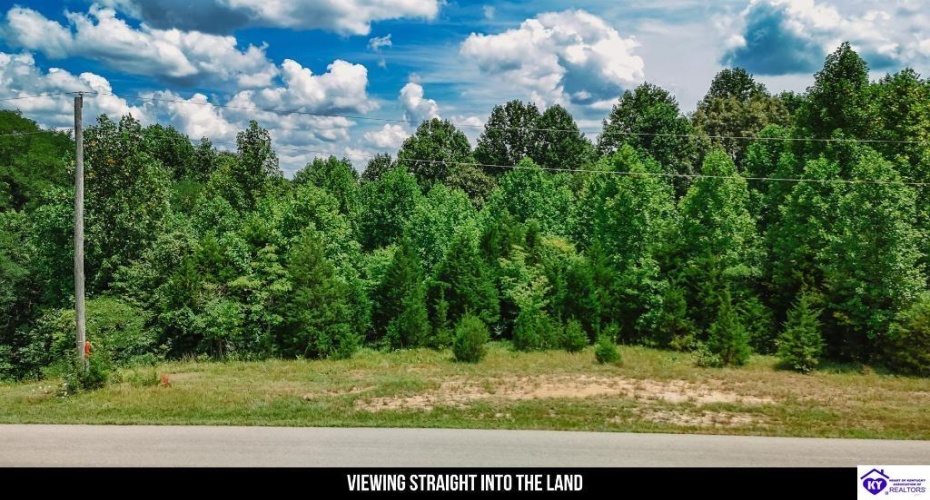 Plainview Road, Eastview, Kentucky 42732, ,For Sale,Plainview Road,HK24003302 Plainview Road, Eastview, Kentucky 42732, ,For Sale,Plainview Road,HK24003302