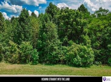 Plainview Road, Eastview, Kentucky 42732, ,For Sale,Plainview Road,HK24003302 Plainview Road, Eastview, Kentucky 42732, ,For Sale,Plainview Road,HK24003302